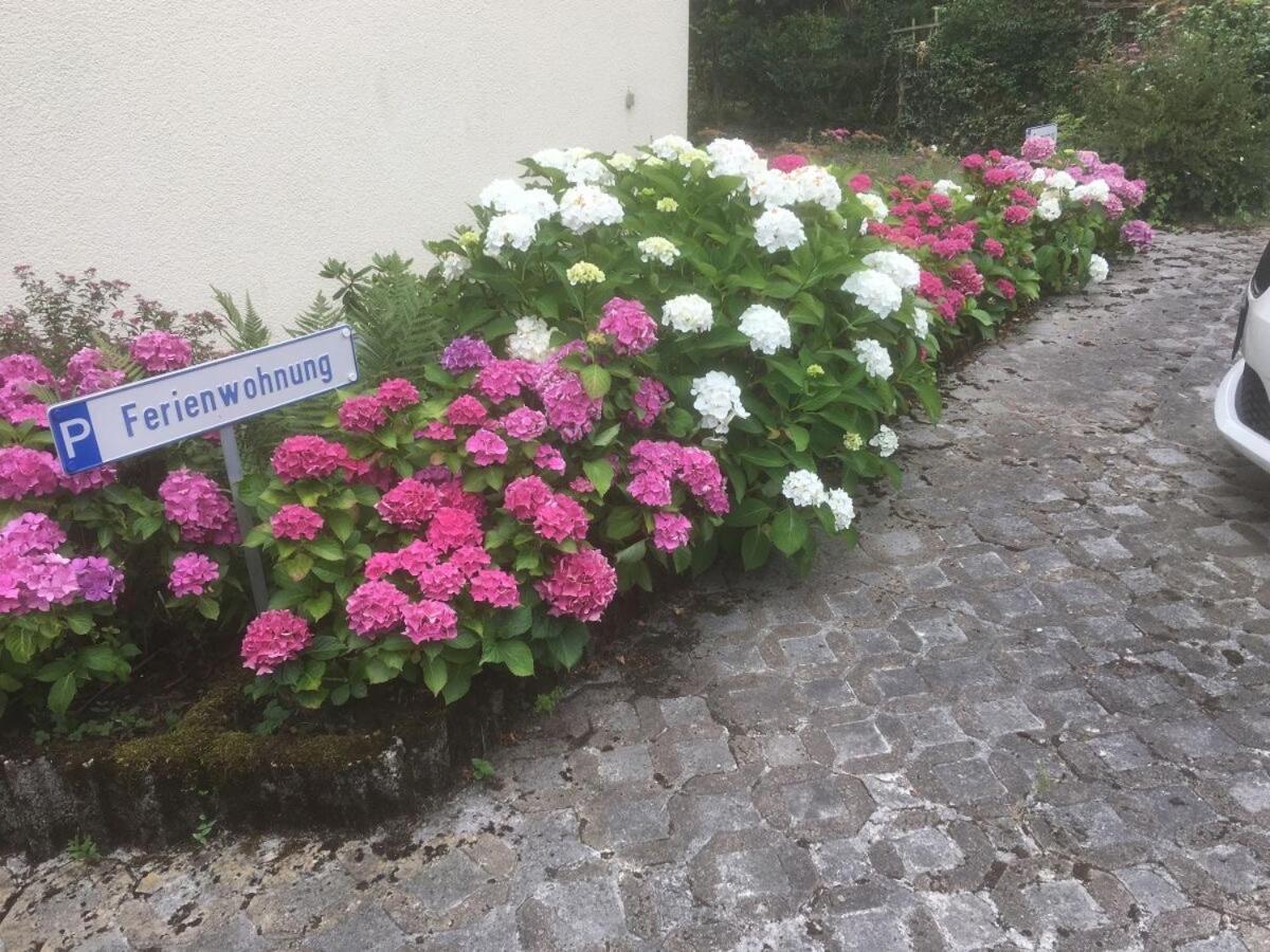 Ferienwohnung Sponheim Verbandsgemeinde Verbandsgemeinde Traben-Trarbach Buitenkant foto
